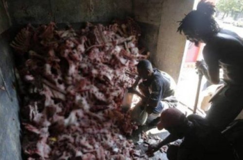 Dəhşətli mənzərə: ölməmək üçün heyvan leşləri yeyirlər - FOTOLAR