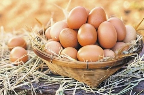 Yumurtanın qiyməti bahalaşdı
