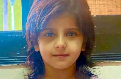 Шестилетняя девочка умерла от укуса змеи, затаившейся в туалете городского дома