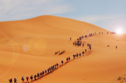 Fransalı qaçışçı marafon yarışı zamanı ölüb