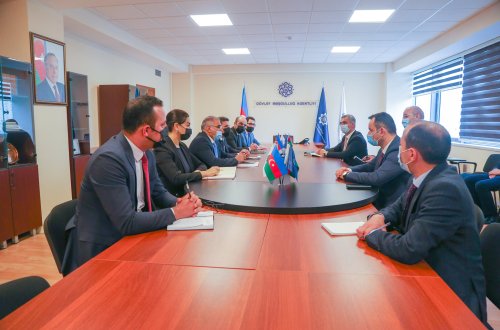 Sosial sahibkarlıqla əlaqədar qanun layihəsi hazırlanacaq