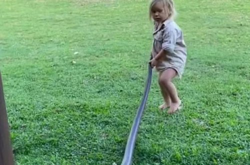 İki yaşlı uşağın nəhəng ilanla oynaması heyrət doğurdu - VİDEO