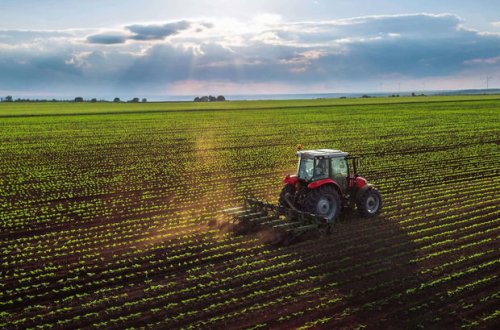 Azərbaycanda pay torpaqları üzərində mülkiyyət hüquqları rəsmiləşdiriləcək - FƏRMAN