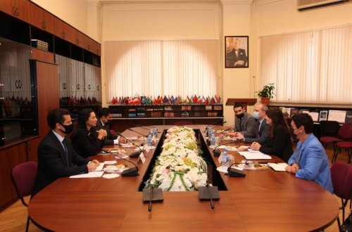 Azərbaycan Ombudsmanı və BMT koordinatoru gələcək əməkdaşlığın perspektivlərini müzakirə ediblər