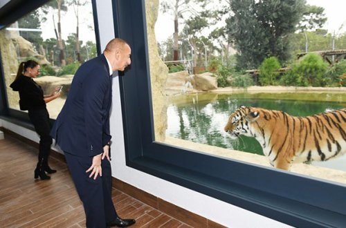 Prezidentlə ailəsi zooparkın açılışında - Fotolar