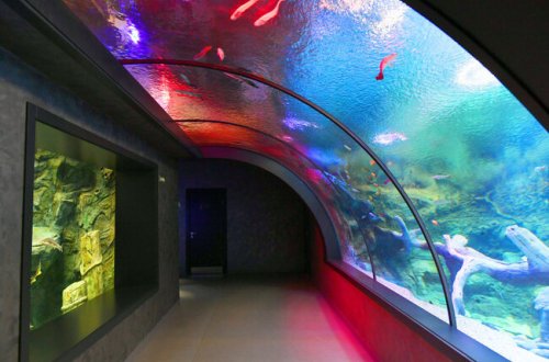 Zoopark nə vaxt istifadəyə veriləcək? - TARİX AÇIQLANDI