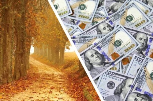 Parkda gəzərkən xırda daş tapdılar, həyatları dəyişdi - FOTO