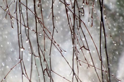 Sabah Bakıda və rayonlarda yağış yağacaq