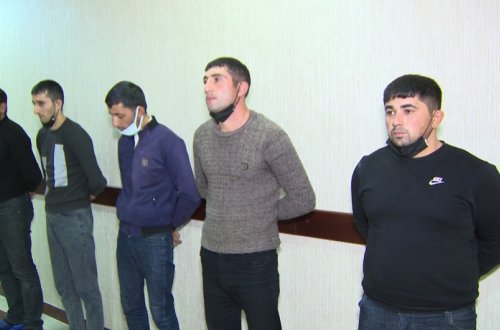 Göygöldə it döyüşləri üzrə “ölkə çempionatı” təşkil edən şəxslər saxlanılıb -VIDEO