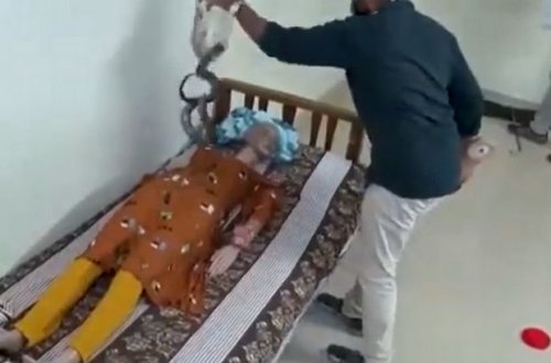 Başqası ilə evlənmək üçün arvadının yatağına kobra atdı - FOTO/VİDEO