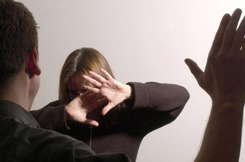 Qadınlara qarşı zorakılıq və məişət zorakılığının qarşısının alınması və ona qarşı mübarizə ilə bağlı vebinar keçirilib