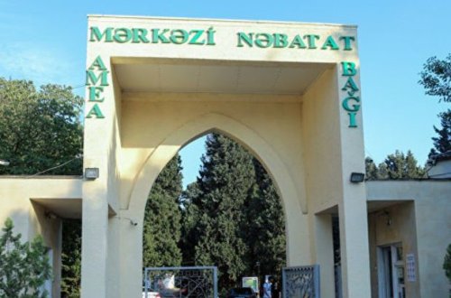 Mənimsəmələr olan Nəbatət bağının yeni direktoru: “Bağda iki qanunsuz ev inşa edilib”