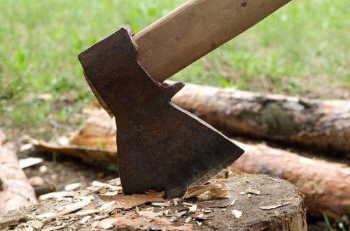 Bakıda qanunsuz ağac kəsən sahibkarlara cinayət işi açıldı