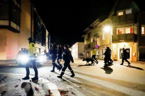 Norveçdə beş nəfəri oxla öldürən əcnəbi həbs edilib