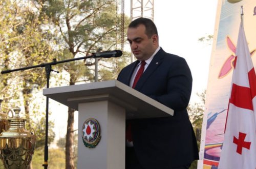 Gürcüstan xarici işlər nazirinin birinci müavini: “Azərbaycan hər zaman yanımızda olub”