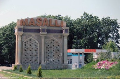 Masallıda qanunsuz ağac kəsənlərə qarşı cinayət işi açıldı