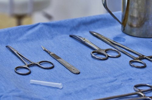 Amerikalı həkimlər insana donuz böyrəyi köçürdü