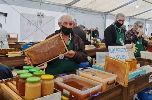 Bakıda bal yarmarkası fəaliyyətə başlayıb