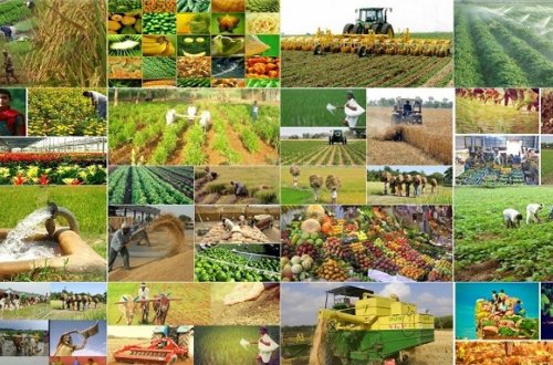 Regionların sosial-iqtisadi inkişafının əsas istiqamətləri – TƏHLİL