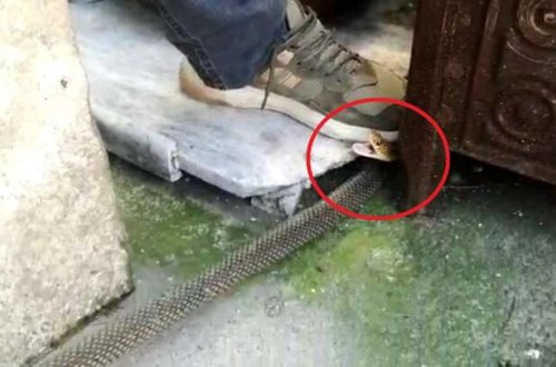 Qapını açıb otağa daxil oldu - Gördüklərindən DƏHŞƏTƏ GƏLDİ - FOTOLAR