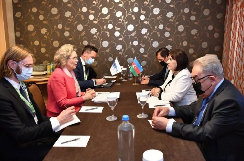 ATƏT PA-nın sədri: 