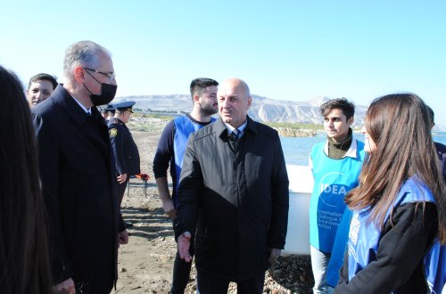 Mingəçevir su anbarına 100 min balıq buraxıldı