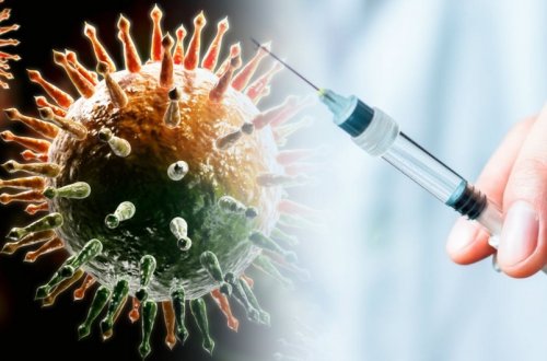 Peyvənd olunmaq üçün günün ən münasib vaxtı müəyyənləşib