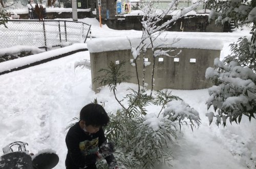Güclü qar Hindistanda azı 11 nəfərin həyatına son qoyub