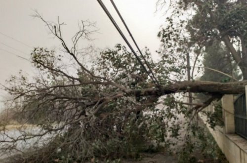 Güclü külək Ağdam və Tərtərin elektrik təchizatında problem yaradıb