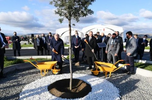 İlham Əliyev və Ərdoğan Şərqi Zəngəzurda ağac əkiblər - FOTO