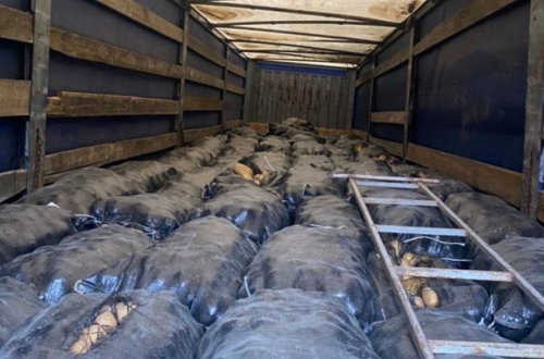 İrandan Azərbaycana gətirilən minlərlə kiloqram məhsul geri qaytarıldı