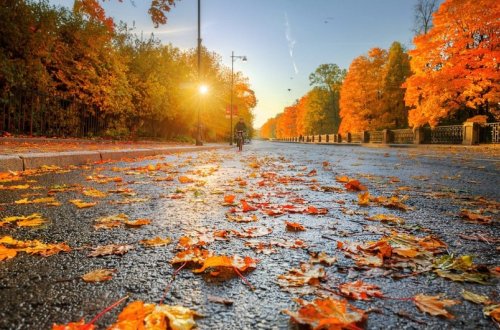 Sabah yağıntılı hava şəraiti gözlənilir