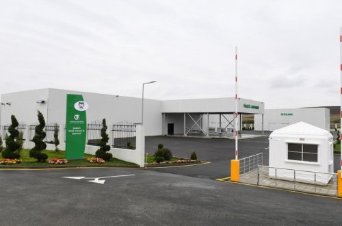 Şamaxı Üzüm Tingçilik Mərkəzinin açılışı olub -FOTO