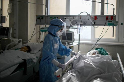 В России зафиксирован новый максимум смертности от COVID-19