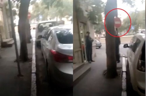 Paytaxtda ağac arxasında “gizlənən” yol nişanı - VİDEO