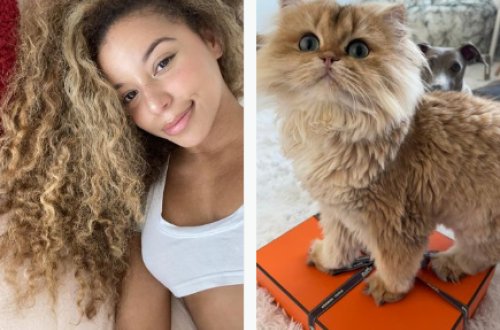 Açıq-saçıq fotolarını satan model pişiklərinə 193 min dollar XƏRCLƏDİ - FOTO