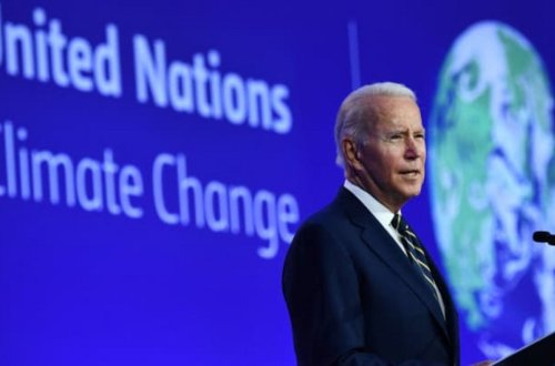 ABŞ dünyada meşələrin mühafizəsinə vəsait ayıra bilər