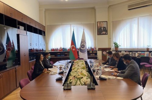 Ombudsman Avropa Şurasının nümayəndəsi Verena Teyloru qəbul edib