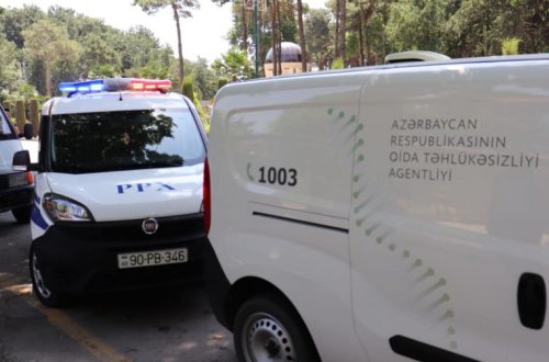 Qanunsuz heyvan kəsimi məntəqəsi söküldü