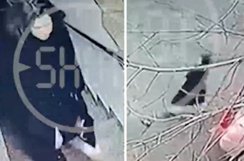 Zorlandıqlarını dedilər, yalanlarının üstü açıldı - Belə ifşa oldular (FOTO/VİDEO)