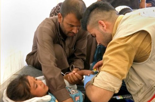 В Ираке почти 400 человек отравились фалафелем, есть погибшие