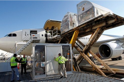 Hava nəqliyyatı ilə yükdaşımaların həcmi artıb