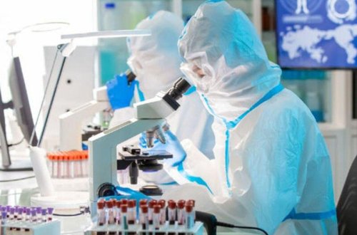 Müxtəlif koronaviruslara müqavimət göstərə bilən anticism tapılıb