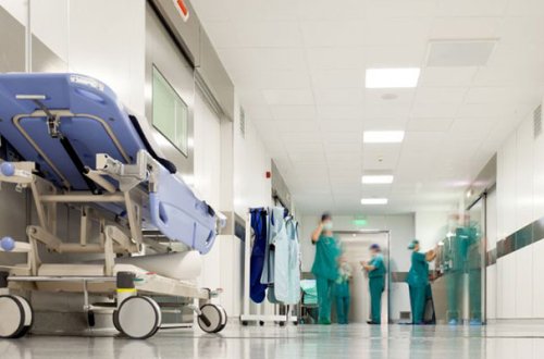 Qaxda daha iki ailə göbələkdən zəhərləndi