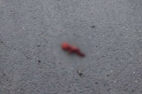 Azərbaycanda zibil qutusundan döl tapıldı