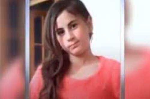 Nərmin itkin düşən günü kəndə gələn naməlum şəxslər kimlər olub? — Yeni faktlar