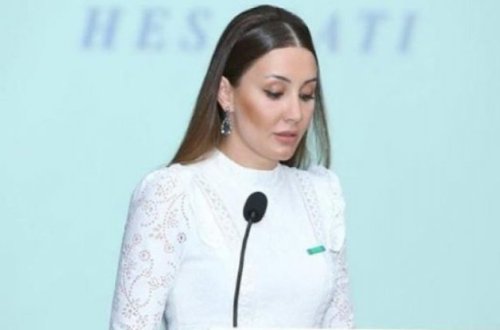 YAP Aytac Əliyevanın həbsinə münasibət bildirib