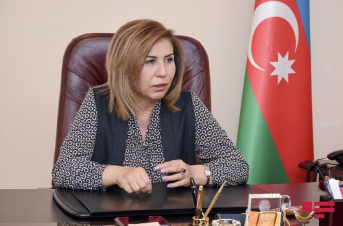 Dövlət Komitəsinin sədri 11 yaşlı qızın dünyaya uşaq gətirməsinə münasibət bildirib