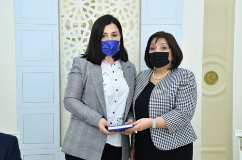 Vətən müharibəsi şəhidi Cəbrayıl Dövlətzadənin anası Milli Məclisdə işlə təmin olunub