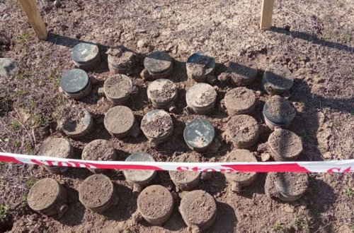 Bu mallar gömrük rüsumundan azad edilir - Siyahı